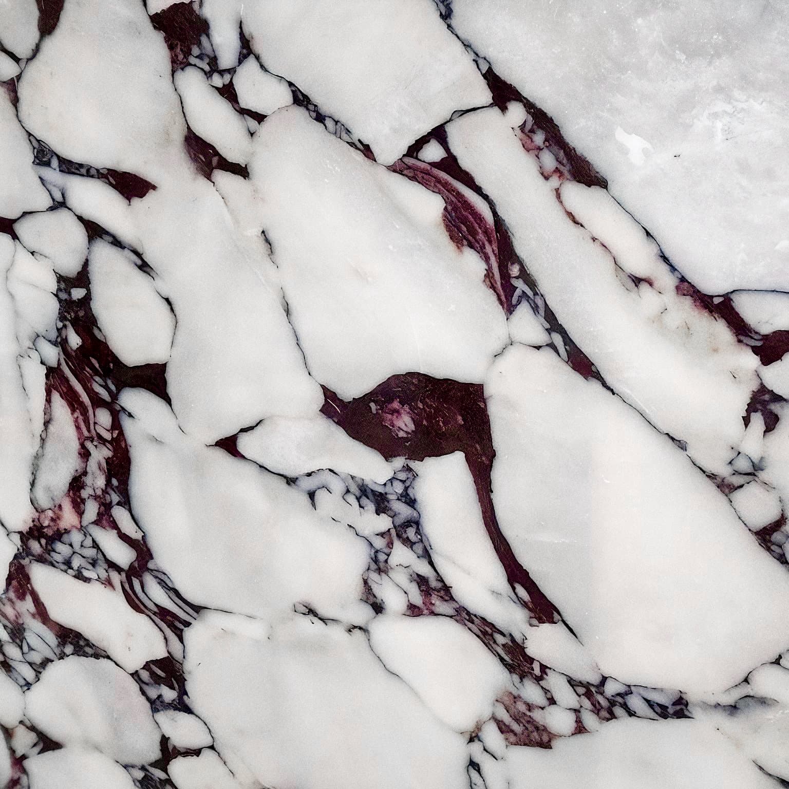 Calacatta Viola Marble with bold burgundy veining through white base, polished surface Calacatta Viola Marble with bold burgundy veining through white base, polished surface