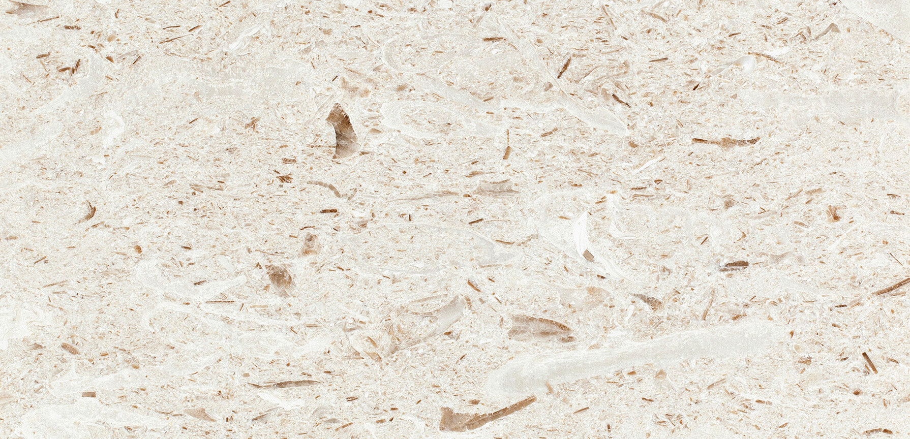 Caliza-turca-recife-fossil-myra-beige-marmol.jpg